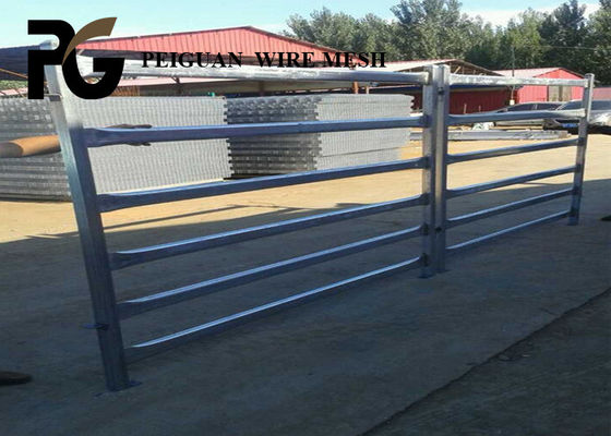 Outdoor Steel Cattle Yard Panels , Zinc Coated Portable Cattle Panels