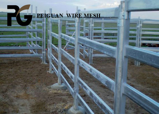 Outdoor Steel Cattle Yard Panels , Zinc Coated Portable Cattle Panels