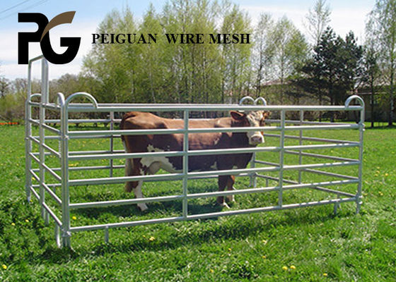 Outdoor Steel Cattle Yard Panels , Zinc Coated Portable Cattle Panels